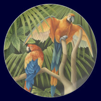 Macaws Plate plates