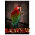 MACAWSOME t-shirts by Netnita MACAWSOME t-shirts