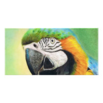 MacCheeky photo cards by KarenHullArt MacCheeky photo cards