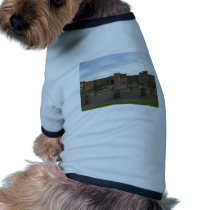 Macellum (Markets) in Ancient Pompeii pet clothing