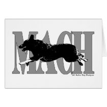 MACH  ACD CARDS