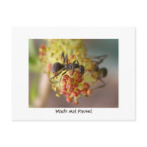Mach mal Pause postcards