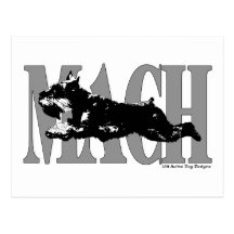 MACH Schnauzer Postcard