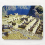 'Machu Picchu at Dawn 2' mousepads