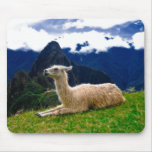 Machu Picchu Llama - Mousepad