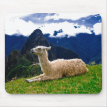 Machu Picchu Llama - Mousepad mousepads