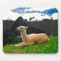 Machu Picchu Llama - Mousepad mousepads