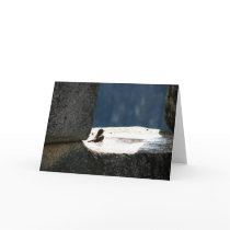 Machu Picchu, Peru, birdbath in stone window cards by lshickzazzle Machu Picchu, Peru, birdbath in stone window cards
