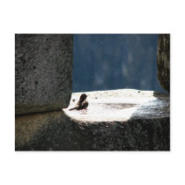 Machu Picchu, Peru, birdbath in stone window postcards by lshickzazzle Machu Picchu, Peru, birdbath in stone window postcards