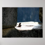 Machu Picchu, Peru, birdbath in stone window posters