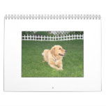 Mack Calendar 2008