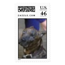 Mack Stamps