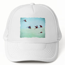 Mackaws Flying Hats