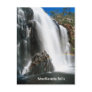 MacKenzie falls Postcard