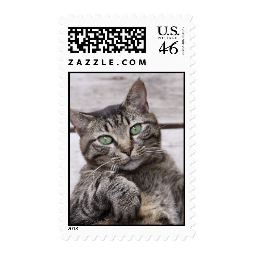 Mackerel Tabby Cat Stamp