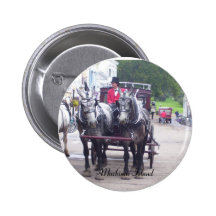 Mackinaw Island Series Pinback Button