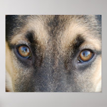 Macksie's Eyes Print
