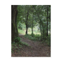 Maclay Gardens postcards