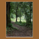 Maclay Gardens postcards