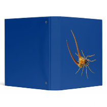Macracantha Binders