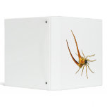 Macracantha Binder