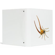 Macracantha Binder