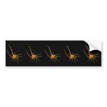 Macracantha Bumper Sticker