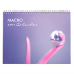 Macro 2011 Calendar