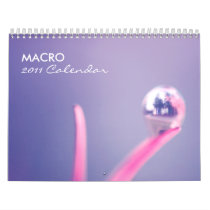 Macro 2011 Calendar
