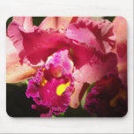 Macro Beardless Iris mousepads