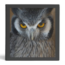 Macro Black and White Owl 3 Ring Binders