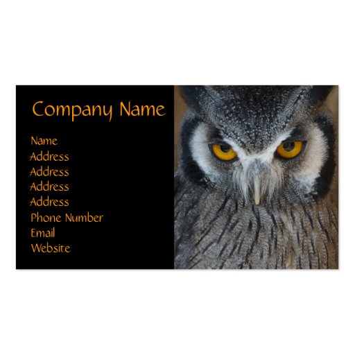 Macro Black and White Owl Business Card (front side)