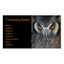 Macro Black and White Owl Business Card