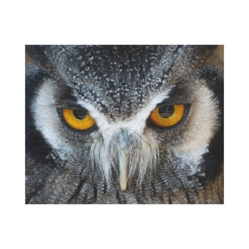 Macro Black and White Owl Gallery Wrapped Canvas