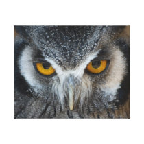 Macro Black and White Owl Gallery Wrapped Canvas
