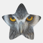 Macro Black and White Owl Star Sticker