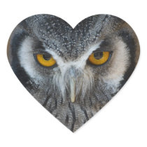 Macro Black and White Owl Stickers