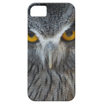 Macro Black and White Scops Owl iPhone 5 Covers