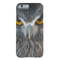 Macro Black and White Scops Owl iPhone 6 Case