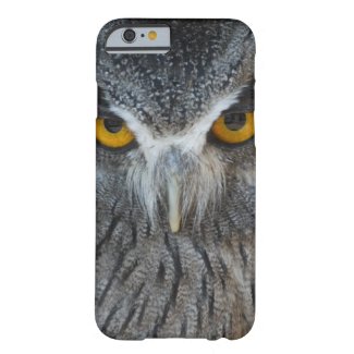 Macro Black and White Scops Owl iPhone 6 Case