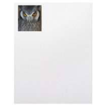 Macro Black and White Scops Owl Custom Letterhead