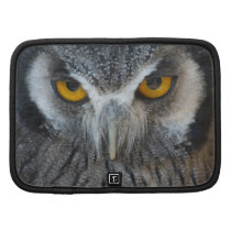 Macro Black and White Scops Owl Planners