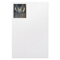 Macro Black and White Scops Owl Stationery Design