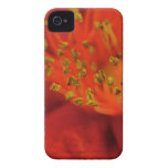 Macro Camellia iPhone Case casemate cases