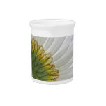 Macro Daisy Photo Beverage Pitcher