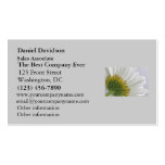 Macro Daisy Photo Business Card Templates