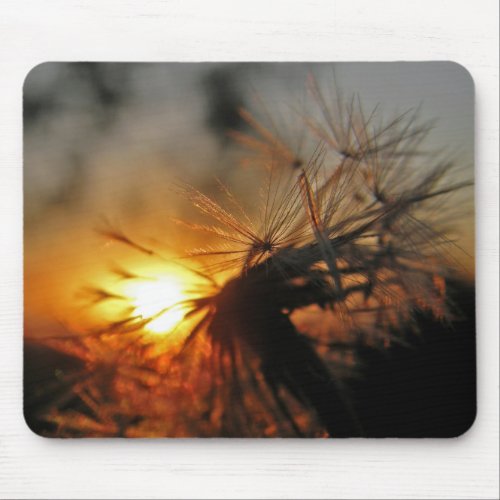 Macro Dandelion Sunset Mousepad mousepad