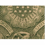 Macro Dollars Bills Money Cut Out