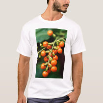 Macro Extreme: The T-Shirt by Arre Macro Extreme: The T-Shirt