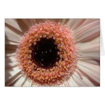 Macro Flower cards by peterspooner Macro Flower cards